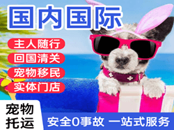 毕节飞雄航空货运国际宠物托运 【国